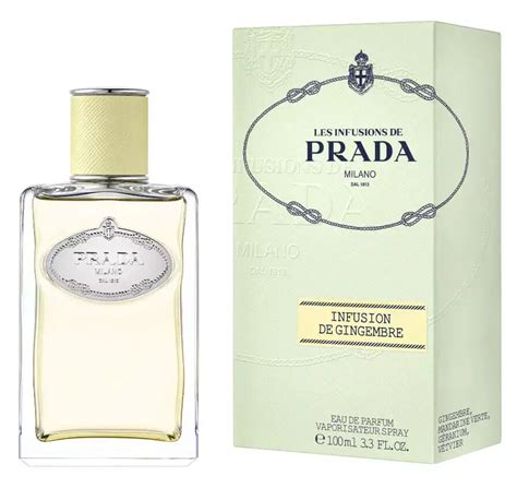 infusion gingembre prada|Infusion de Gingembre Prada for women and men .